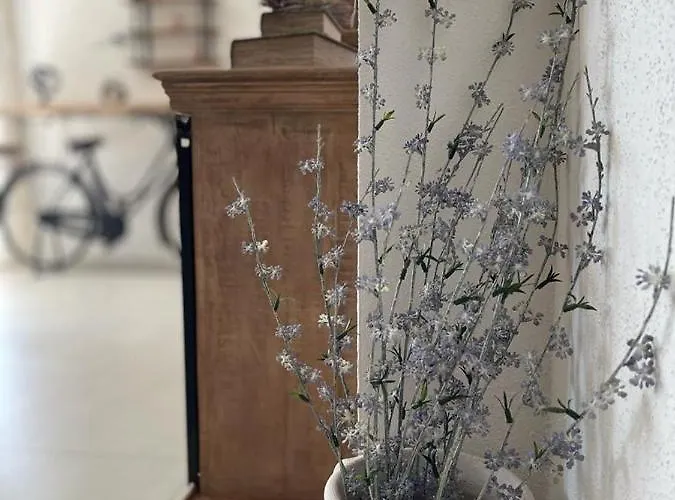 Dimora Nocleg ze śniadaniem Dorgali