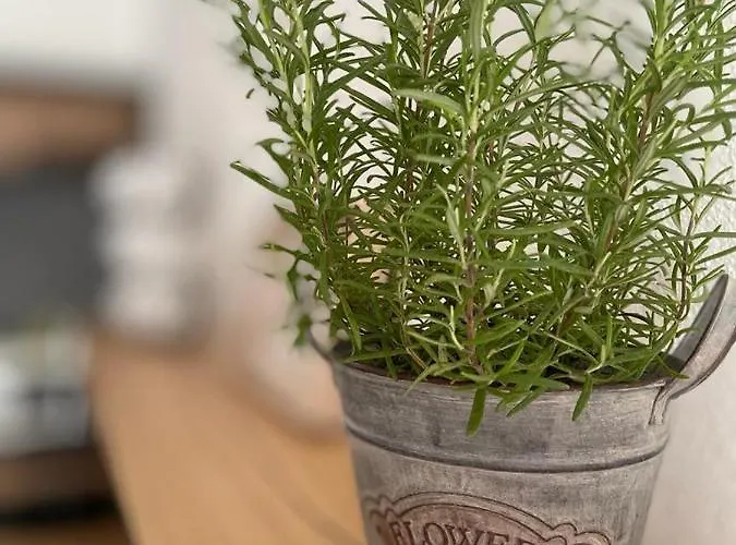 فندق مبيت وإفطار Dimora دورغالي